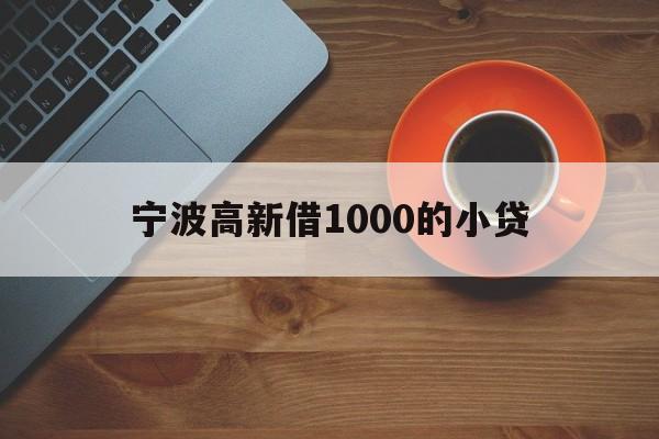 宁波高新借1000的小贷