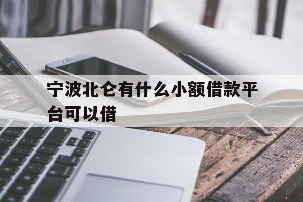 详细阅读:宁波北仑有什么小额借款平台可以借 宁波北仑有什么小额借款平台可以借