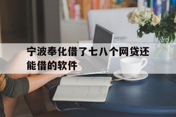 宁波奉化借了七八个网贷还能借的软件