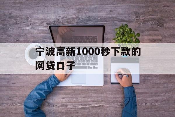 宁波高新1000秒下款的网贷口子
