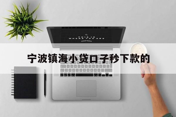 宁波镇海小贷口子秒下款的
