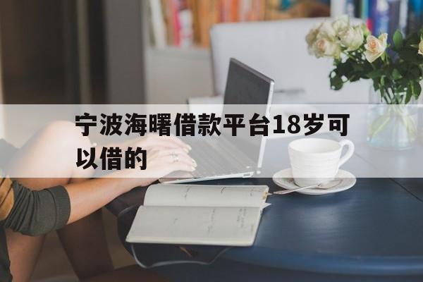 宁波海曙借款平台18岁可以借的