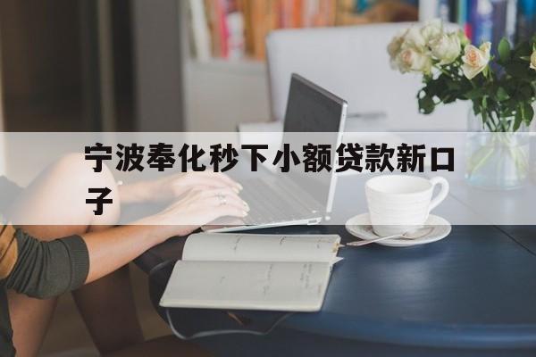 宁波奉化秒下小额贷款新口子