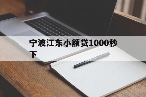 宁波江东小额贷1000秒下