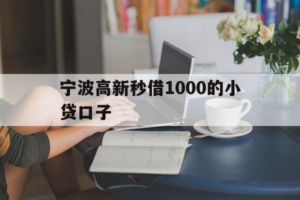 宁波高新秒借1000的小贷口子
