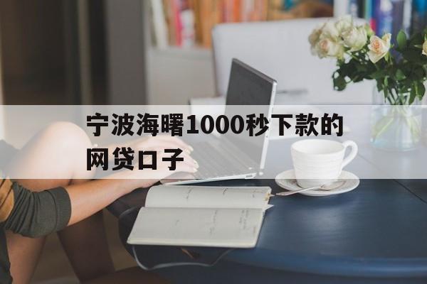 宁波海曙1000秒下款的网贷口子