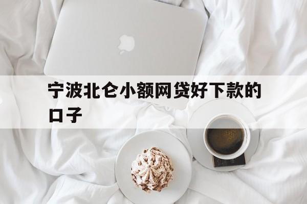 宁波北仑小额网贷好下款的口子