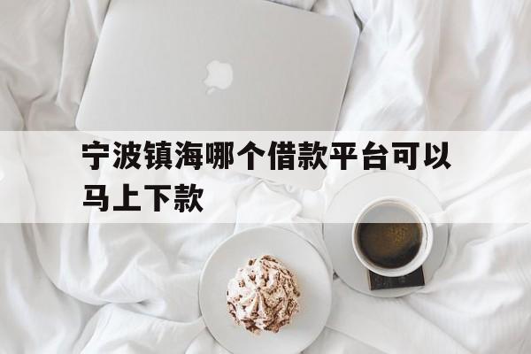 宁波镇海哪个借款平台可以马上下款