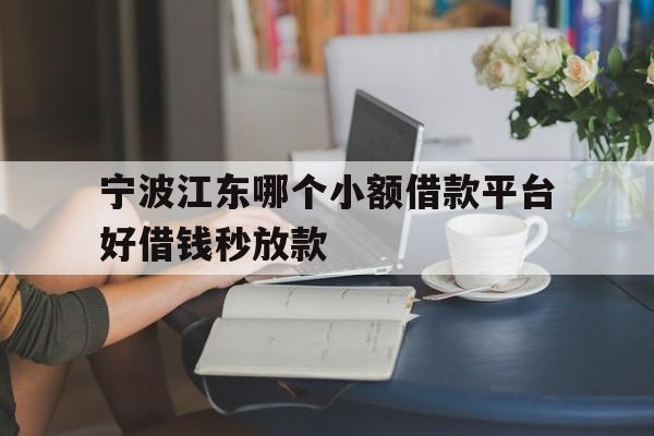 宁波江东哪个小额借款平台好借钱秒放款