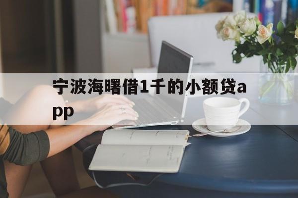 宁波海曙借1千的小额贷app