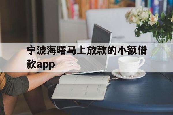 宁波海曙马上放款的小额借款app