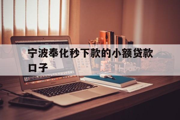 宁波奉化秒下款的小额贷款口子