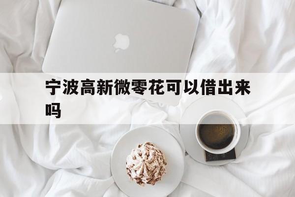 详细阅读:宁波高新微零花可以借出来吗 宁波高新微零花可以借出来吗