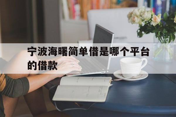宁波海曙简单借是哪个平台的借款