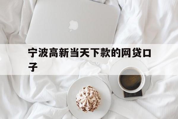 宁波高新当天下款的网贷口子