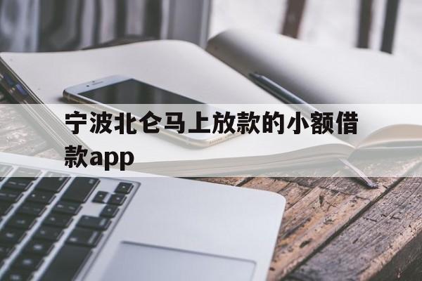 宁波北仑马上放款的小额借款app