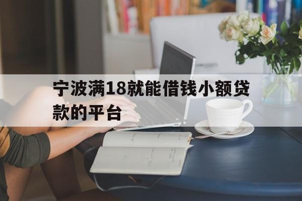 宁波满18就能借钱小额贷款的平台
