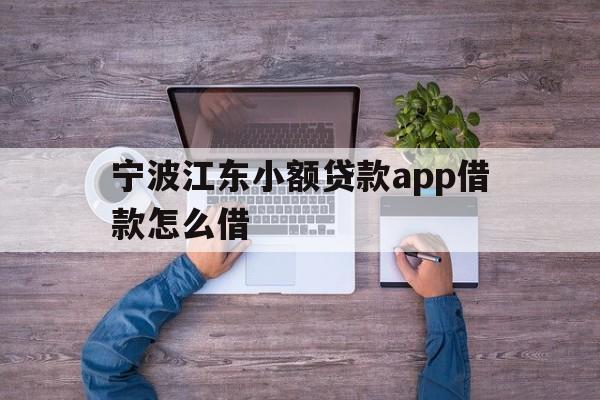 宁波江东小额贷款app借款怎么借