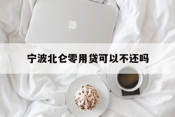 详细阅读:宁波北仑零用贷可以不还吗 宁波北仑零用贷可以不还吗