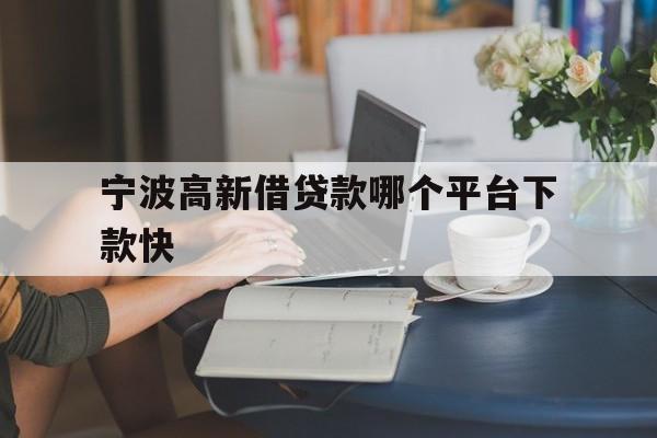 宁波高新借贷款哪个平台下款快