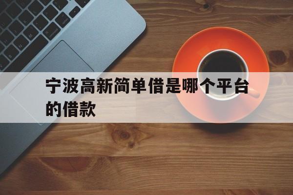 宁波高新简单借是哪个平台的借款