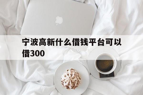 宁波高新什么借钱平台可以借300