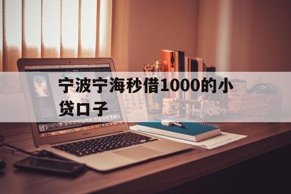 宁波宁海秒借1000的小贷口子