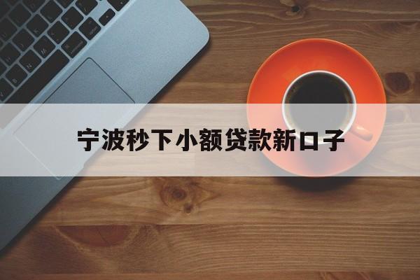 宁波秒下小额贷款新口子