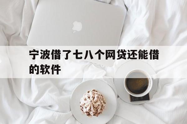 宁波借了七八个网贷还能借的软件