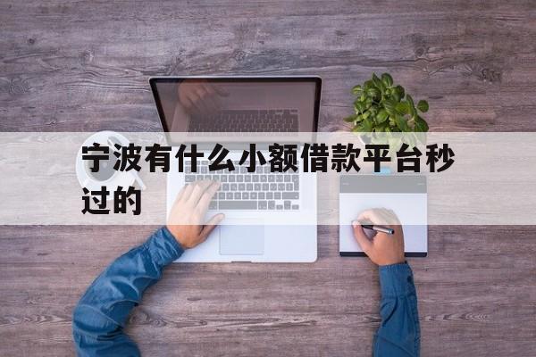 宁波有什么小额借款平台秒过的