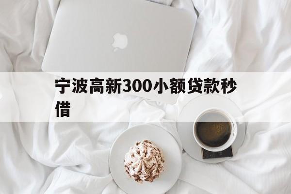 宁波高新300小额贷款秒借