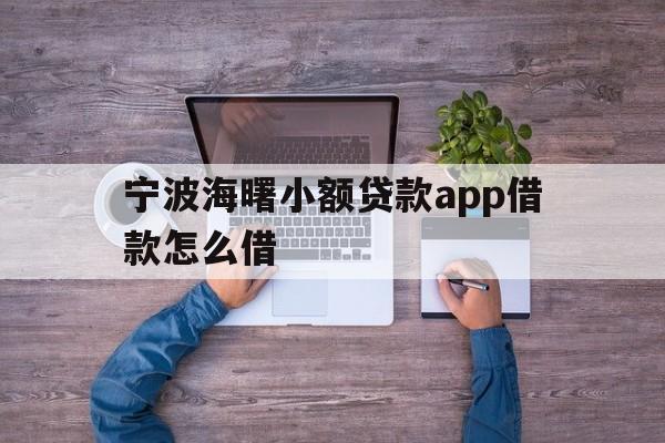 宁波海曙小额贷款app借款怎么借