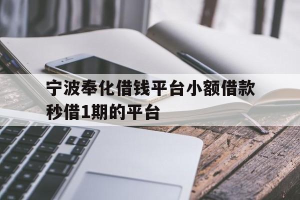 宁波奉化借钱平台小额借款秒借1期的平台