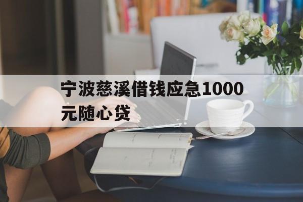 宁波慈溪借钱应急1000元随心贷