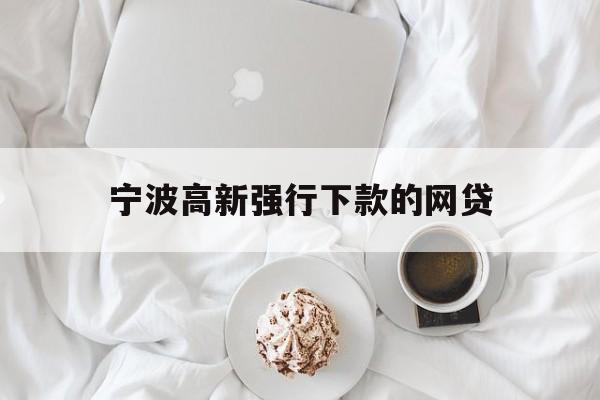 详细阅读:宁波高新强行下款的网贷 宁波高新强行下款的网贷