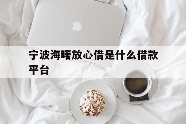详细阅读:宁波海曙放心借是什么借款平台 宁波海曙放心借是什么借款平台