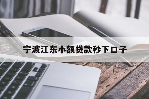 详细阅读:宁波江东小额贷款秒下口子 宁波江东小额贷款秒下口子